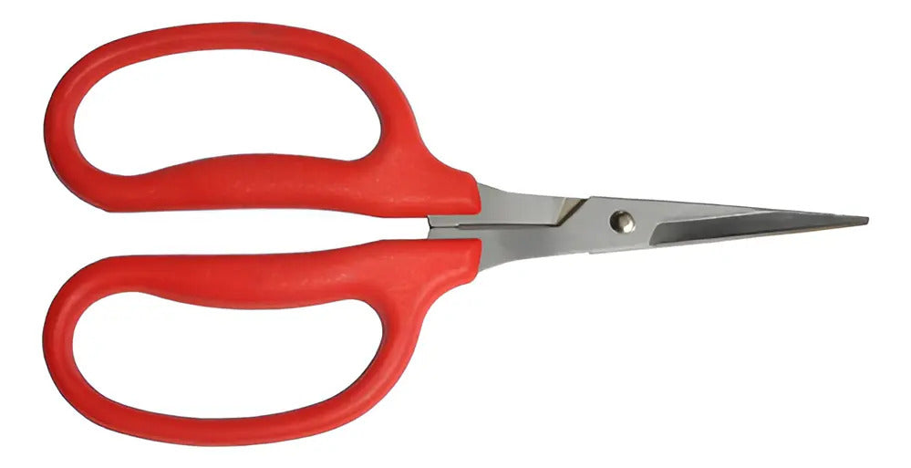 Tijeras Para Cosechar Uvas Raleio, Para Podar, 15 Cm