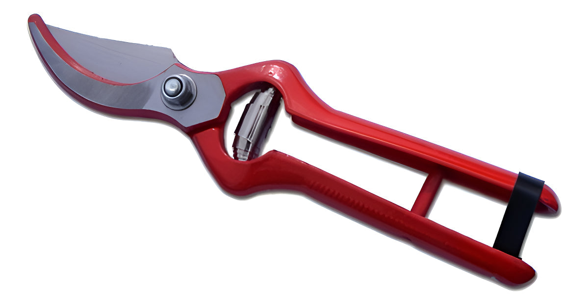Tijera Carpa Podar Forjada 22 Cms. Color Rojo
