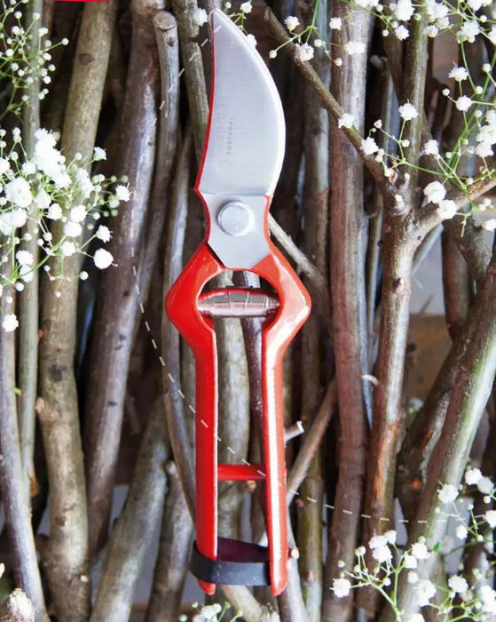 Tijera Carpa Podar Forjada 22 Cms. Color Rojo