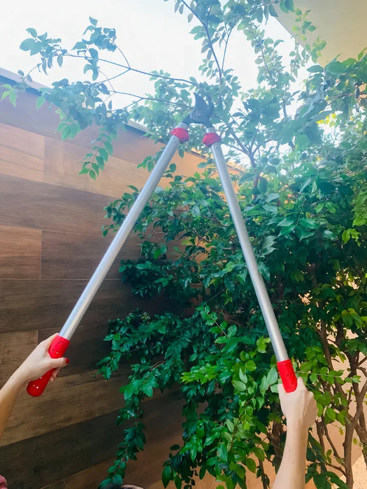 Tijeras De Podar Profesionales Ultraligeras De 0,7 M85 Cm