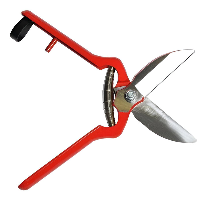 Tijeras de Limpieza para Cosecha de Ajo y Cebolla, 24 cm