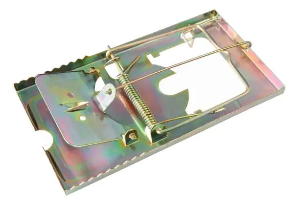 Trampa Ratón Metal Grande